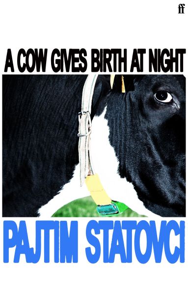 A Cow Gives Birth At Night