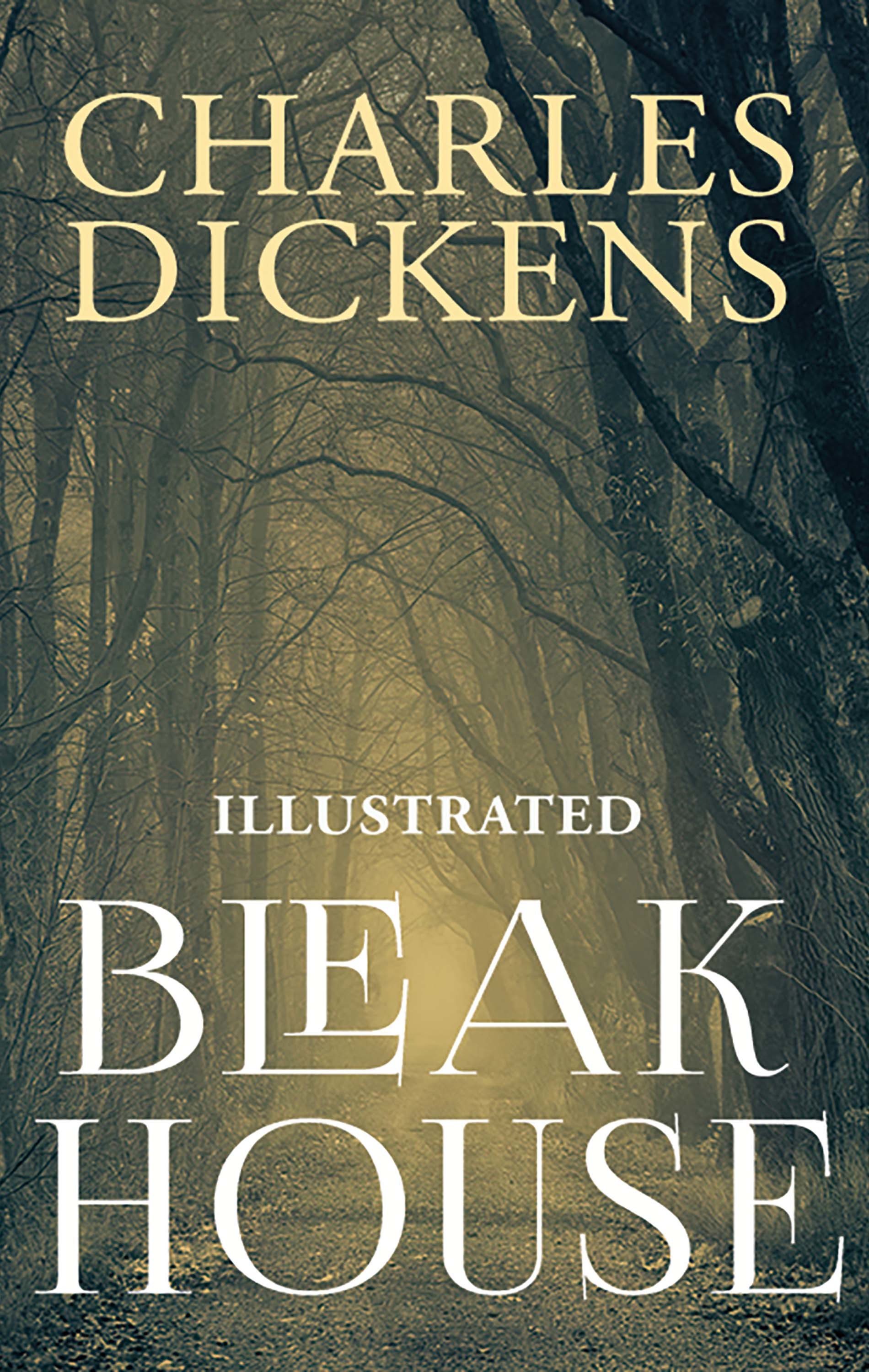 Charles Dickens Bleak House (Illustrated) (Charles