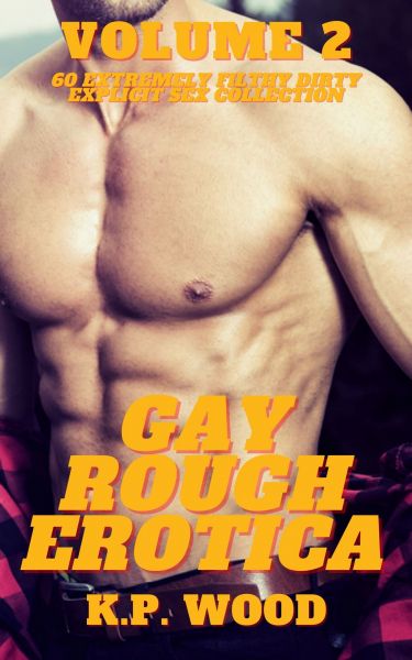 Gay Rough Erotica - Volume 2