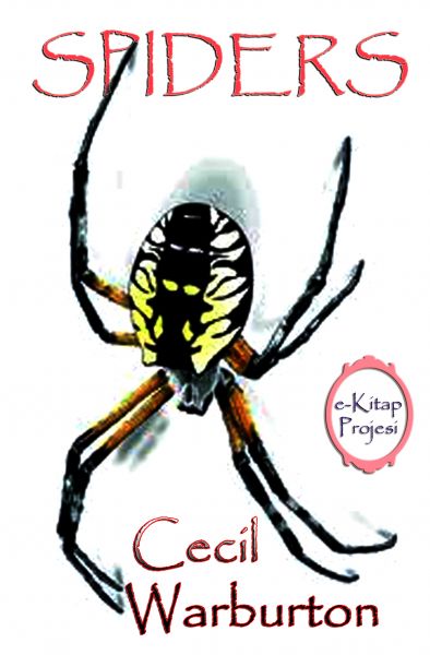 Spiders