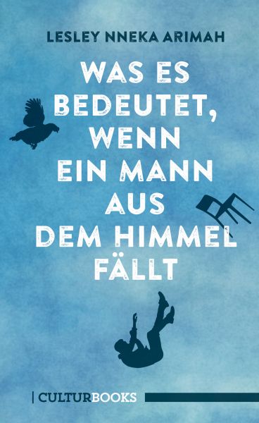 Cover Lesley Nneka Arimah: Was es bedeutet, wenn ein Mann aus dem Himmel fällt