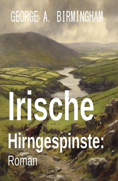 Irische Hirngespinste: Roman