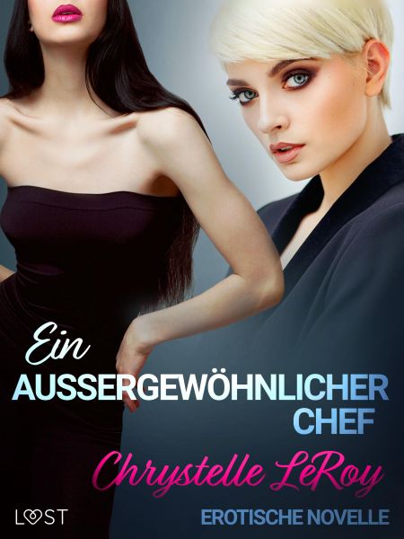 Ein außergewöhnlicher Chef - Erotische Novelle