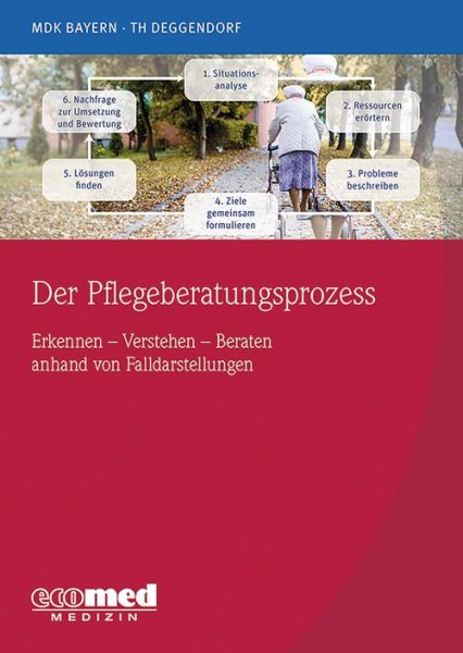Der Pflegeberatungsprozess anhand von Fallverläufen