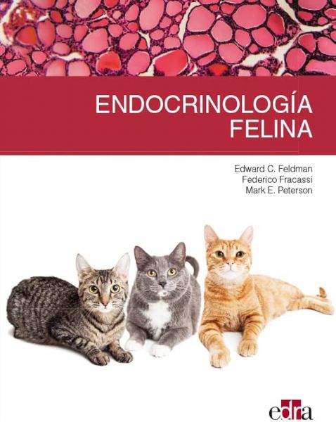 Endocrinología felina