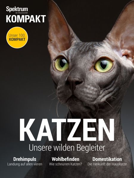 Cover Spektrum Kompakt: Katzen