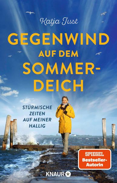 Gegenwind auf dem Sommerdeich