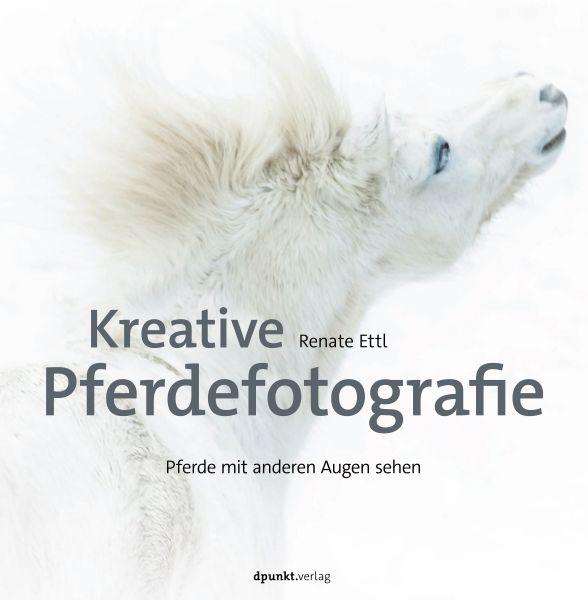 Kreative Pferdefotografie