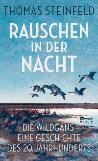 Rauschen in der Nacht