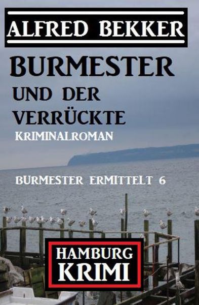 Burmester und der Verrückte: Hamburg Krimi: Burmester ermittelt 6