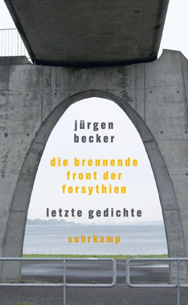 Die brennende Front der Forsythien