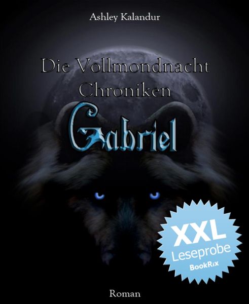 Die Vollmondnacht Chroniken - Gabriel XXL - Leseprobe