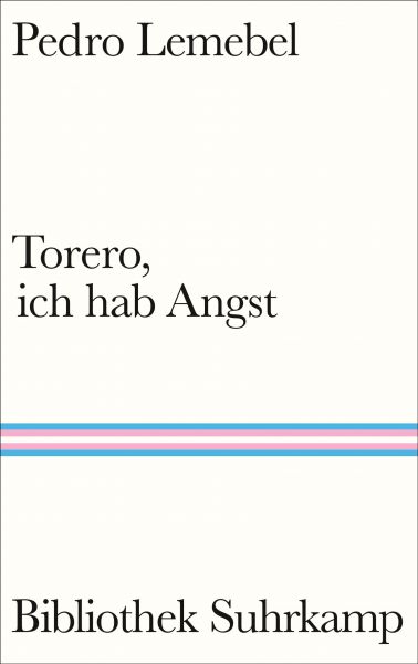 Cover Pedro Lemebel: Torero, ich hab Angst