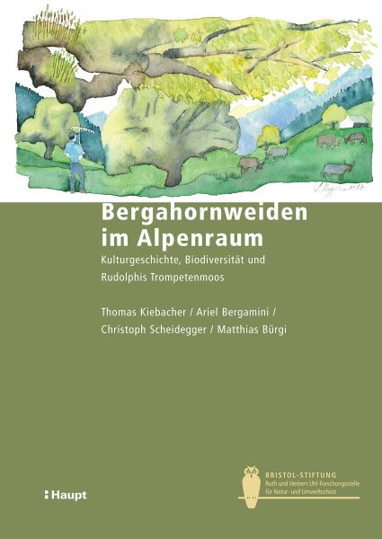 Bergahornweiden im Alpenraum