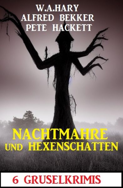 Nachtmahre und Hexenschatten: 6 Gruselkrimis