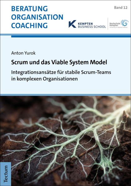 Scrum und das Viable System Model