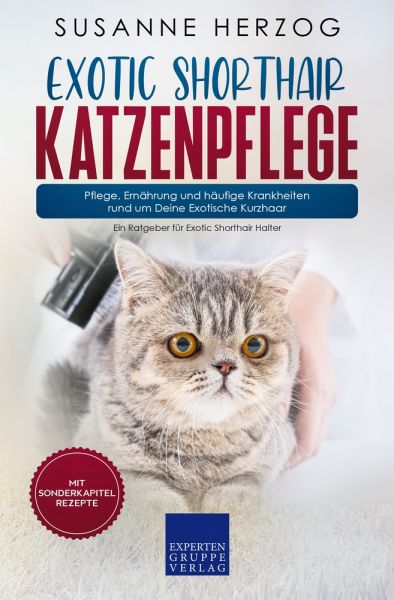 Exotic Shorthair Katzenpflege – Pflege, Ernährung und häufige Krankheiten rund um Deine Exotische Ku