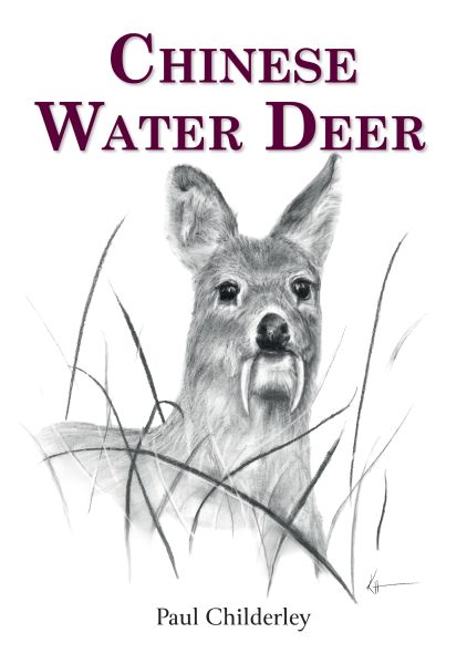 Chinese Water Deer