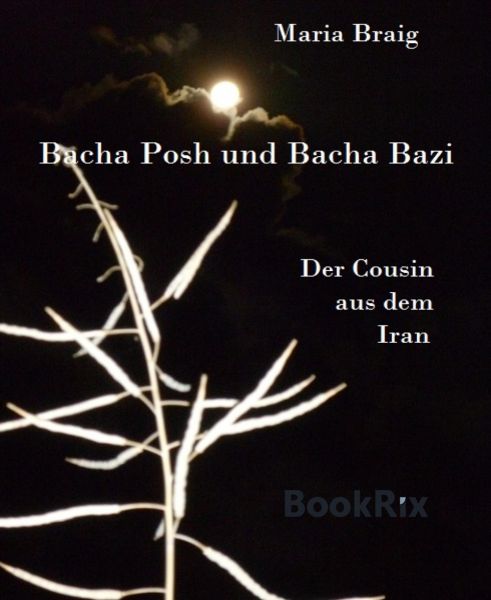 Bacha Posh und Bacha Bazi