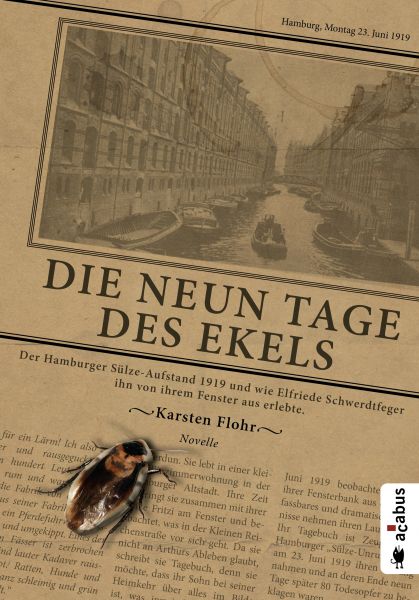 Die neun Tage des Ekels. Der Hamburger Sülze-Aufstand 1919 und wie Elfriede Schwerdtfeger ihn von ih