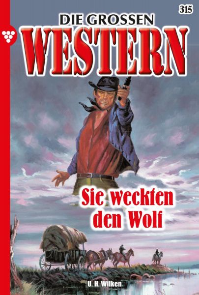 Die großen Western 315