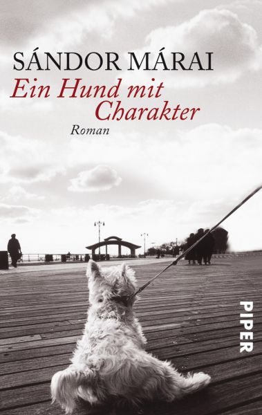 Ein Hund mit Charakter