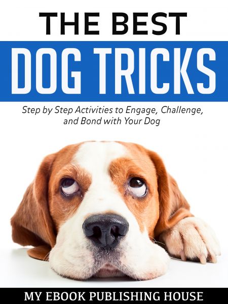 The Best Dog Tricks