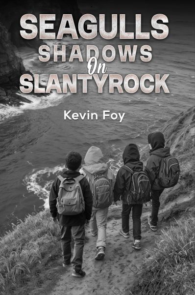 Seagulls Shadows on Slantyrock