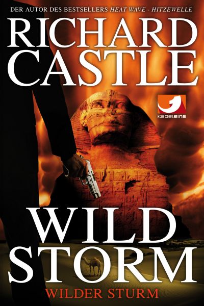 Derrick Storm 2: Wild Storm - Wilder Sturm