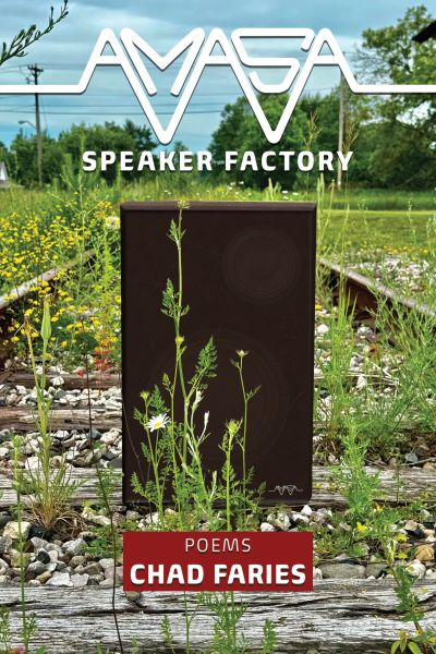 Amasa Speaker Factory