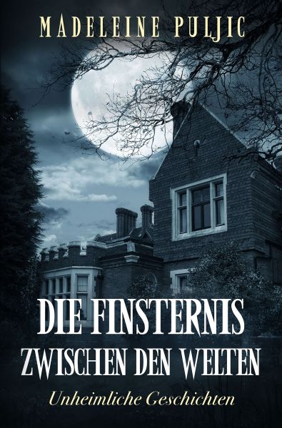 Cover Madeleine Puljic: Die Finsternis zwischen den Welten