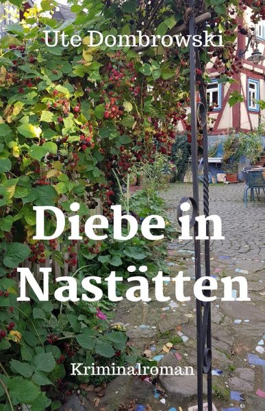 Diebe in Nastätten