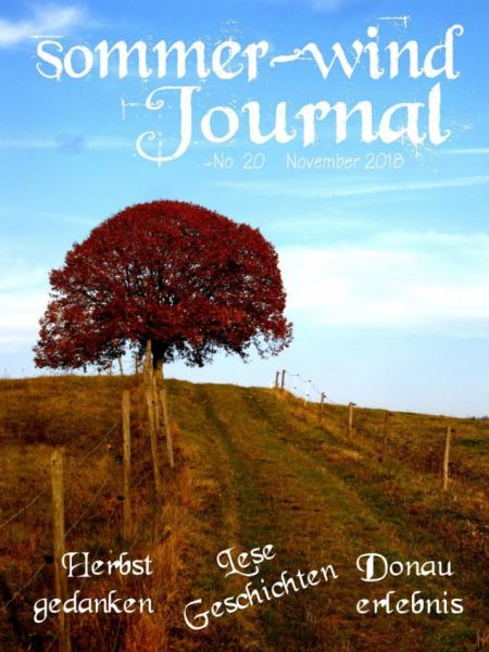 sommer-wind-Journal November 2018