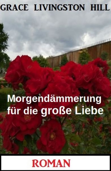 Morgendämmerung für die große Liebe: Roman