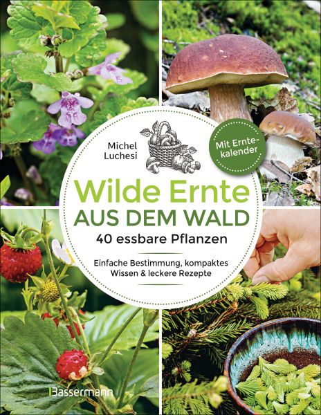 Wilde Ernte aus dem Wald - 40 essbare Pflanzen - einfache Bestimmung, kompaktes Wissen und leckere R