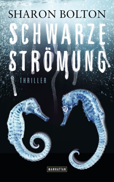 Schwarze Strömung - Lacey Flint 4