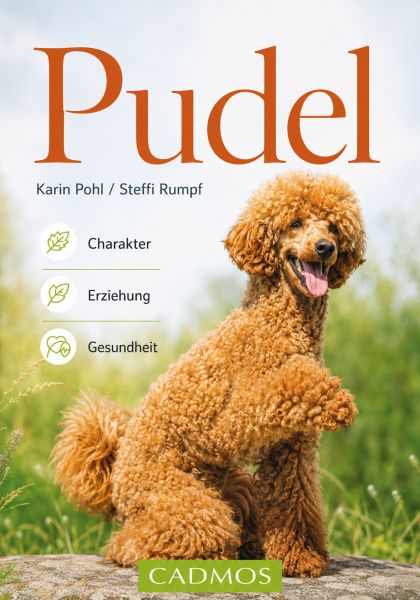 Pudel