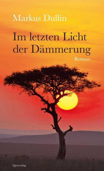 Im letzten Licht der Dämmerung