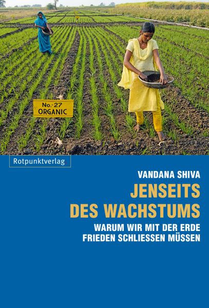 Jenseits des Wachstums