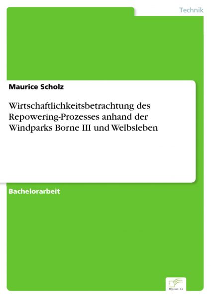 Wirtschaftlichkeitsbetrachtung des Repowering-Prozesses anhand der Windparks Borne III und Welbslebe