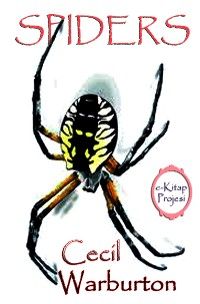 Spiders