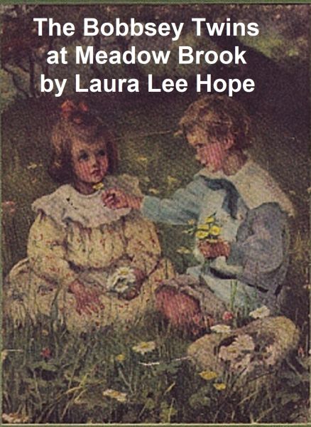 The Bobbsey Twins at Meadow Brook