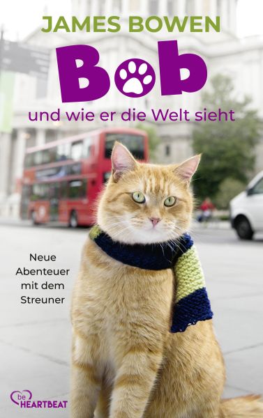 Bob und wie er die Welt sieht