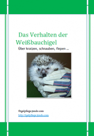 Igelpflege -Das Verhalten der Weißbauchigel