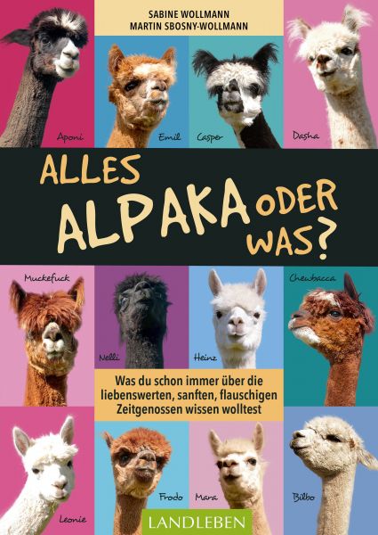 Alles Alpaka – oder was?