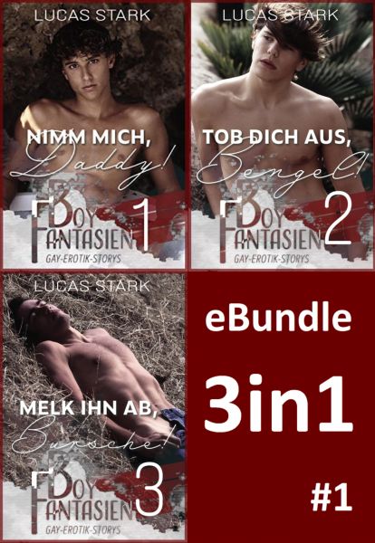 Boy Fantasien 1-3 eBundle