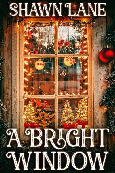 A Bright Window