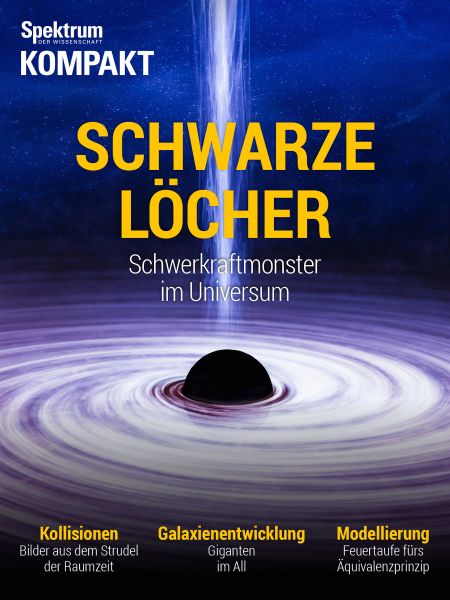 Spektrum Kompakt - Schwarze Löcher