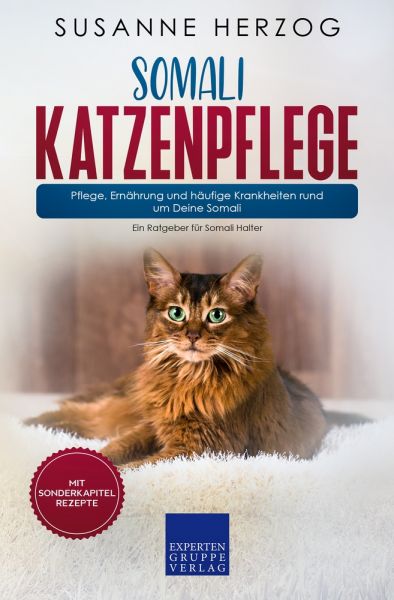 Somali Katzenpflege – Pflege, Ernährung und häufige Krankheiten rund um Deine Somali