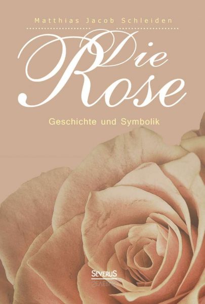 Die Rose